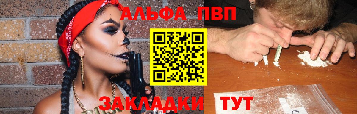 Alfa_PVP СК КРИС Городец
