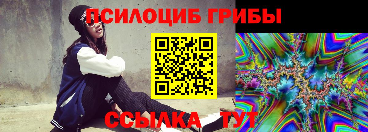 Городец  Псилоцибиновые грибы мицелий  Псилоцибиновые грибы Psilocybe  Вход с VPN 